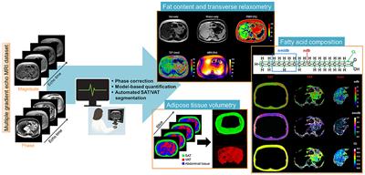 Chemical-Shift-Encoded Magnetic Resonance Imaging and Spectroscopy to Reveal Immediate and Long-Term Multi-Organs Composition Changes of a 14-Days Periodic Fasting Intervention: A Technological and Case Report